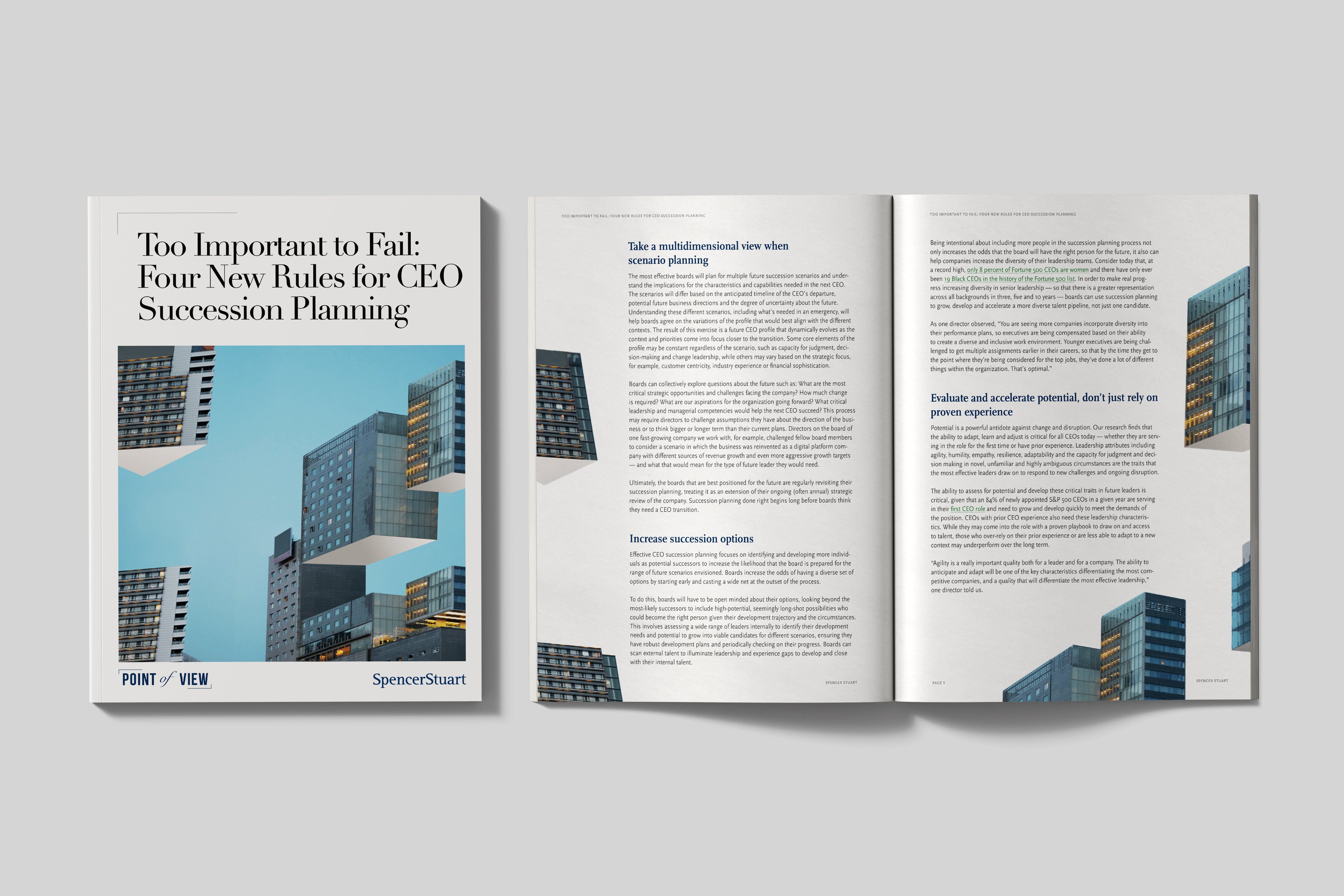 CEO Succession White Paper